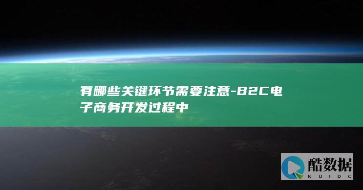 有哪些关键环节需要注意-B2C电子商务开发过程中