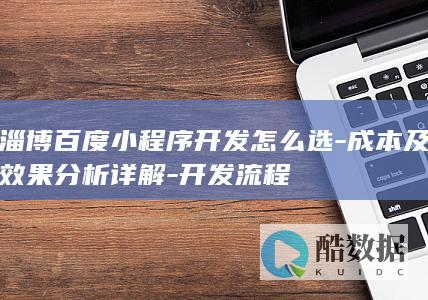 淄博百度小程序开发怎么选-成本及效果分析详解-开发流程