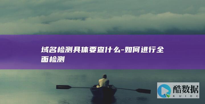域名检测具体要查什么