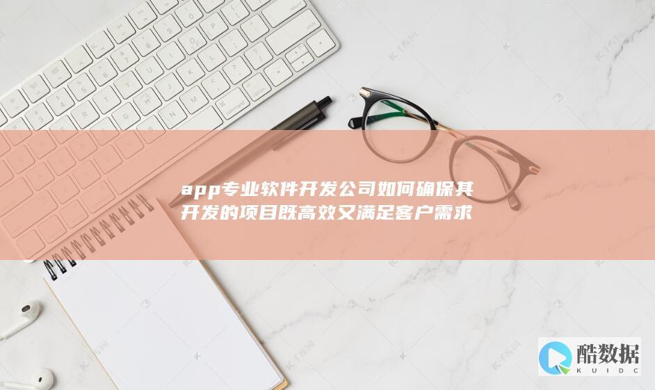 app专业软件开发公司如何确保其开发的项目既高效又满足客户需求