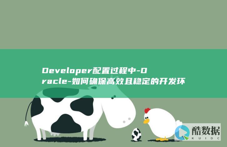 Developer配置过程中-Oracle-如何确保高效且稳定的开发环境搭建