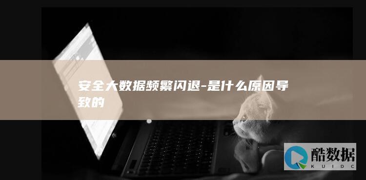 安全工具大数据闪退解决