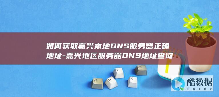 嘉兴服务器DNS正确地址查询指南