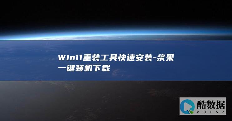 浆果装机工具一键重装系统
