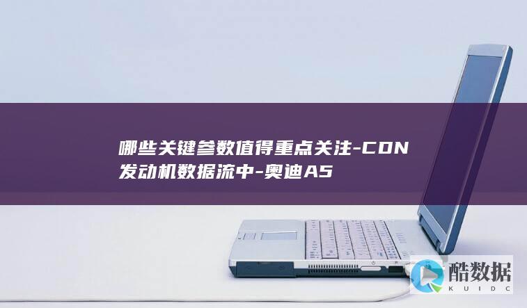 CDN发动机数据流解读