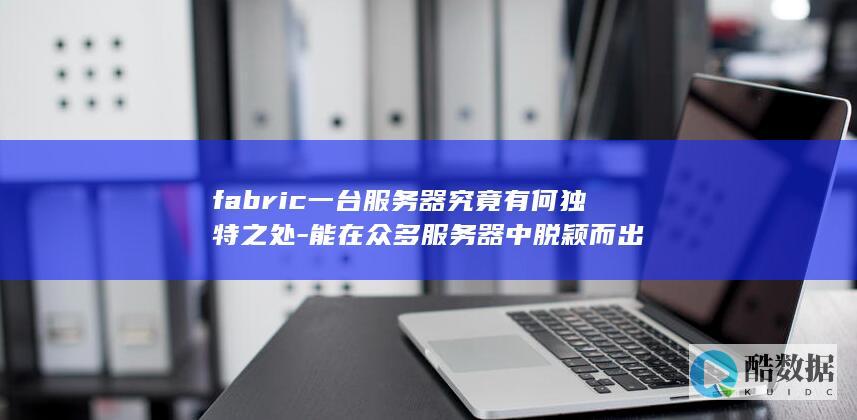 fabric一台服务器究竟有何独特之处-能在众多服务器中脱颖而出