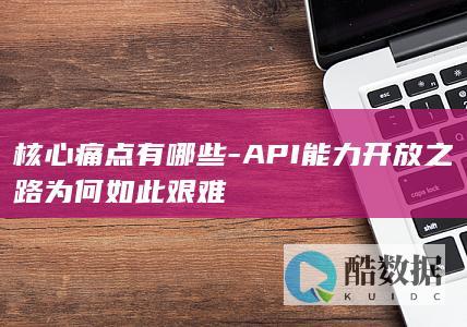 核心痛点有哪些-API能力开放之路为何如此艰难