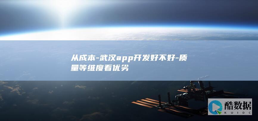 武汉app性价比比较