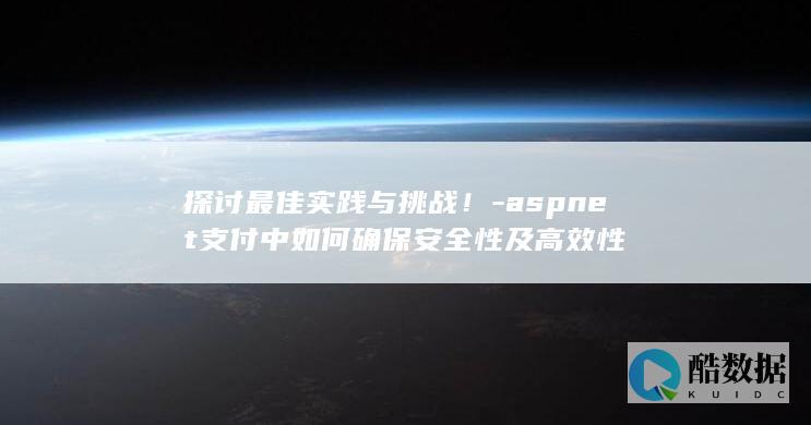 aspnet支付中如何确保安全性及高效性