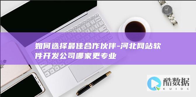 河北选择专业网站开发合作伙伴指南