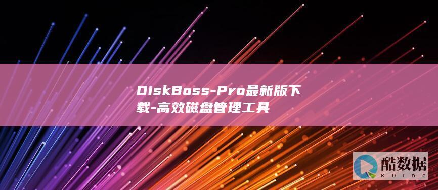 DiskBoss-Pro最新版下载-高效磁盘管理工具
