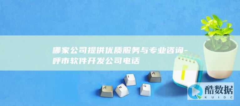 优质软件开发咨询公司推荐