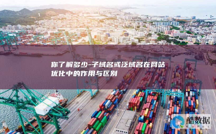 子域名优化与泛域名优化比较