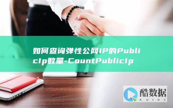 PublicIp数量查询限制
