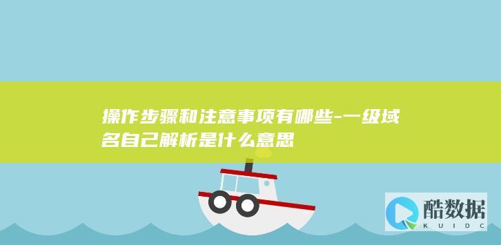 一级域名自解析教程