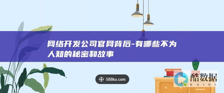 网络开发公司官网背后