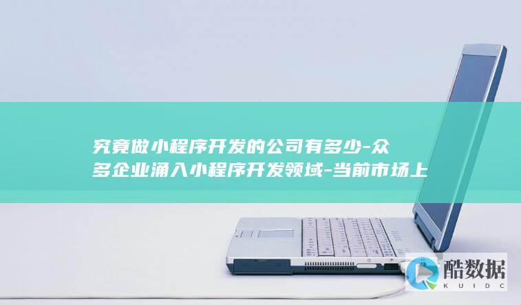 究竟做小程序开发的公司有多少