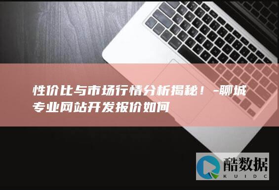 聊城网站开发性价比比较
