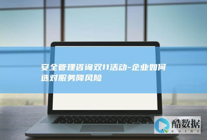 企业安全管理咨询双11选型