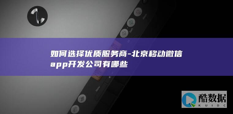 北京微信小程序开发服务商推荐
