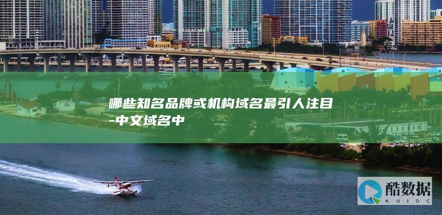 哪些知名品牌或机构域名最引人注目-中文域名中