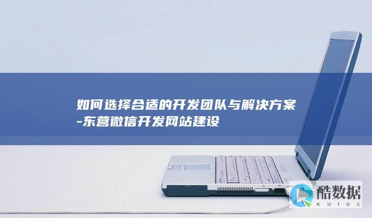 如何选择合适的开发团队与解决方案