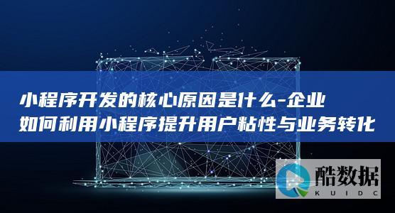 小程序开发的核心原因是什么-企业如何利用小程序提升用户粘性与业务转化