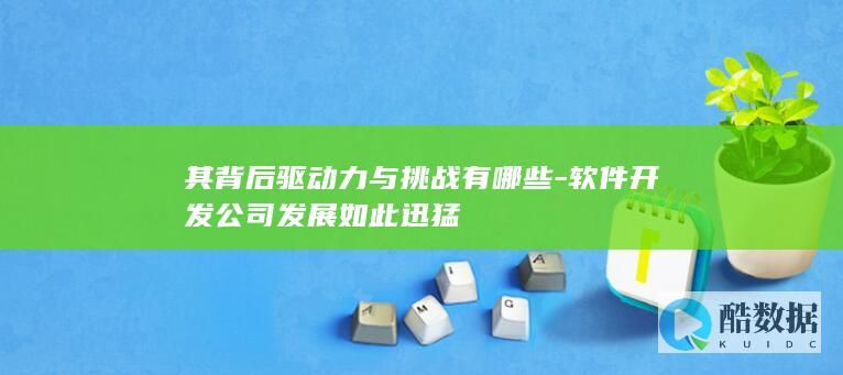 软件公司成长驱动因素研究
