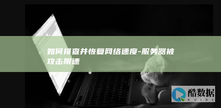 网络速度变慢攻击恢复技巧
