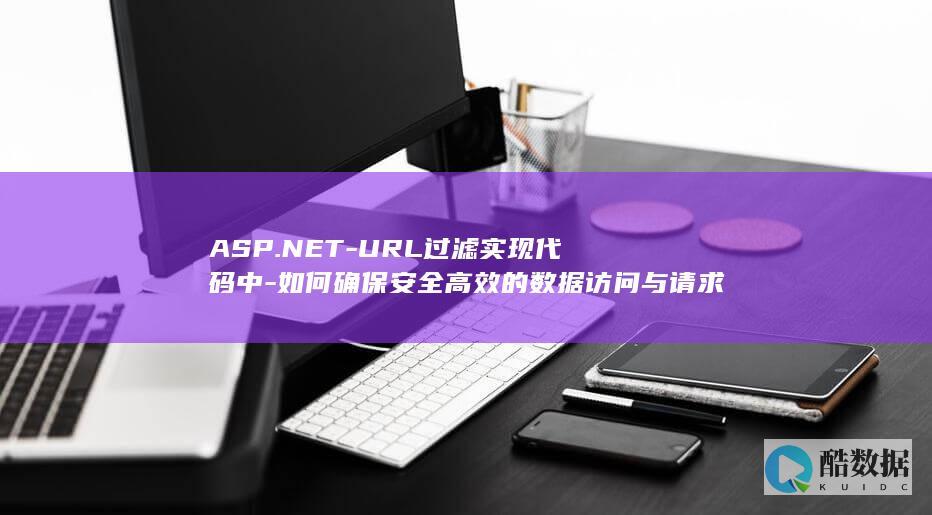 ASP.NET-URL过滤实现代码中-如何确保安全高效的数据访问与请求处理