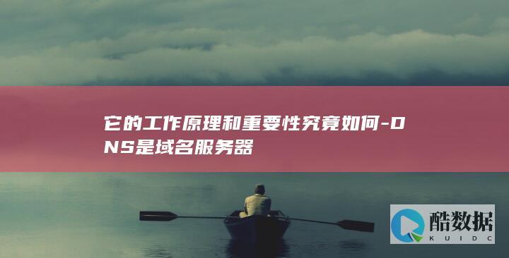 它的工作原理和重要性究竟如何-DNS是域名服务器