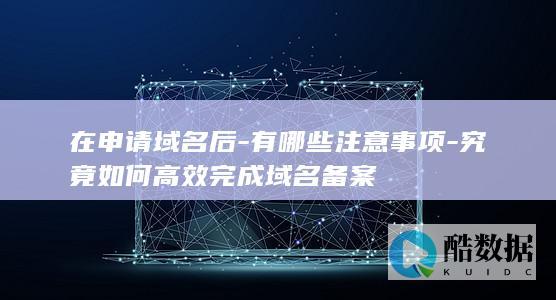 在申请域名后