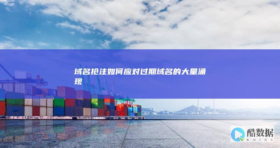 域名抢注应对过期域名的大量涌现