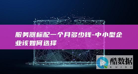 标配一个月多少钱