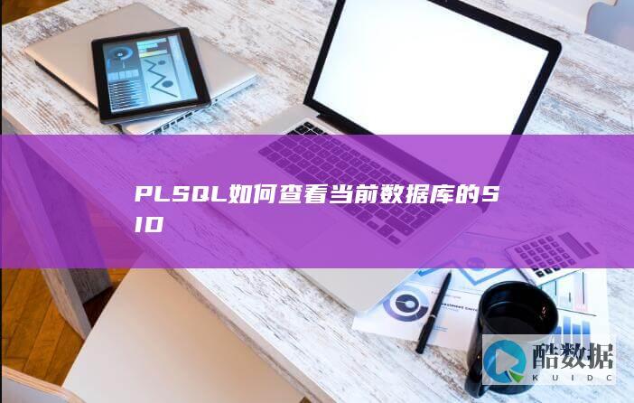 PLSQL如何查看当前数据库的SID