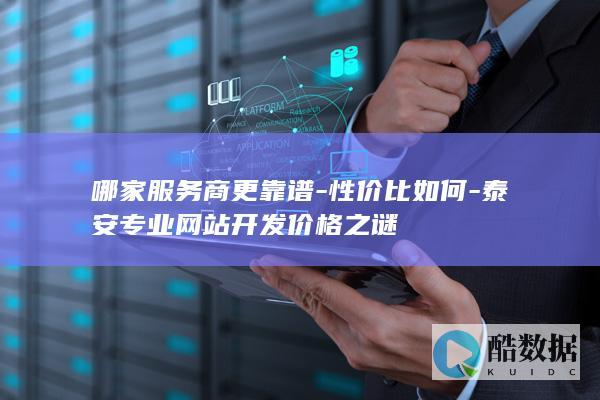 泰安网站开发服务商口碑排行