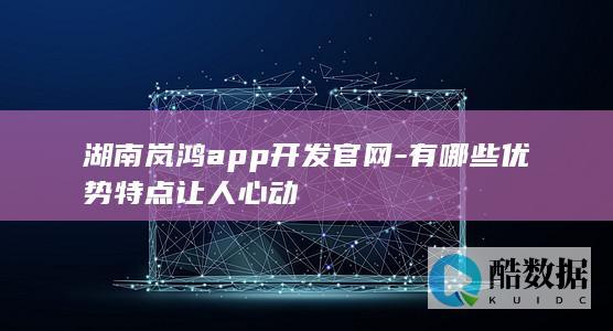 湖南岚鸿APP开发官网特点