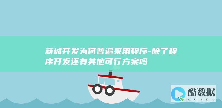 商城开发程序化