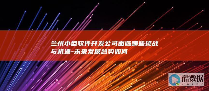 兰州小型软件开发公司面临哪些挑战与机遇
