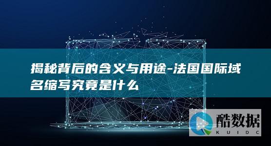 揭秘背后的含义与用途-法国国际域名缩写究竟是什么