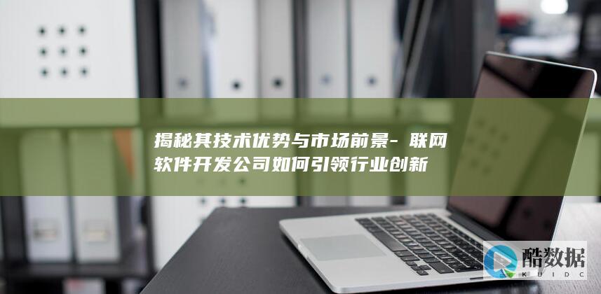 互联网软件开发创新引领企业
