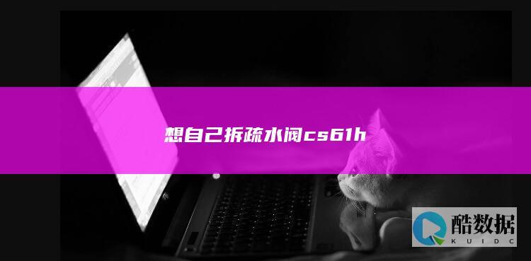 想自己拆疏水阀cs61h
