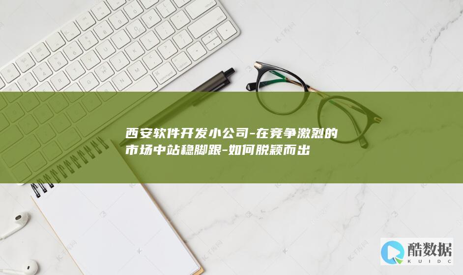 西安软件开发小公司-在竞争激烈的市场中站稳脚跟-如何脱颖而出