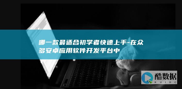 在众多安卓应用软件开发中