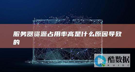内存泄漏导致服务器资源占用问题