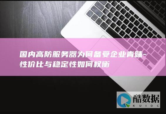 国内高防服务器为何备受企业青睐-性价比与稳定性如何权衡