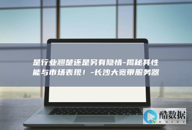是行业翘楚还是另有隐情-揭秘其性能与市场表现！-长沙大宽带服务器