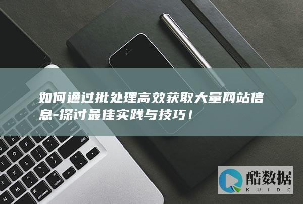 如何通过批处理高效获取大量网站信息-探讨最佳实践与技巧！