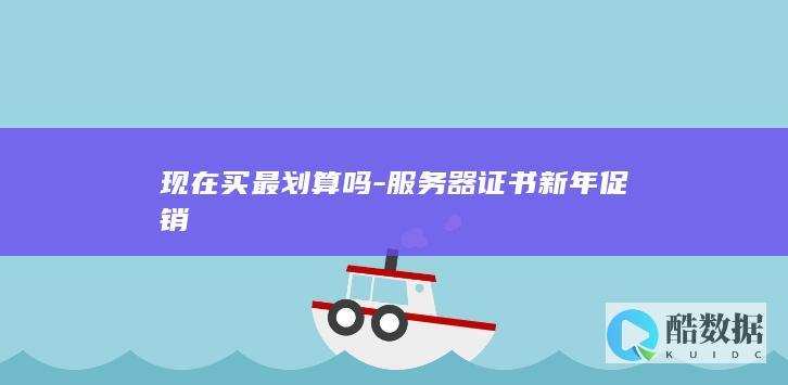 现在买最划算吗-服务器证书新年促销