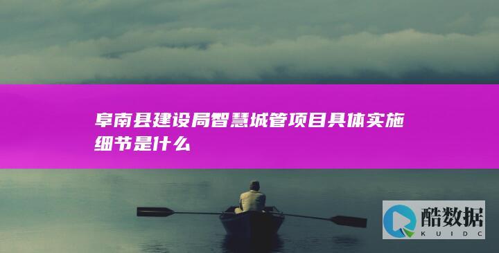 阜南县建设局智慧城管项目具体实施细节是什么